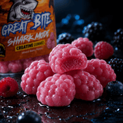 Shark Mode Creatine Gummies - Great Bite