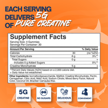 Shark Mode Creatine Gummies - Great Bite